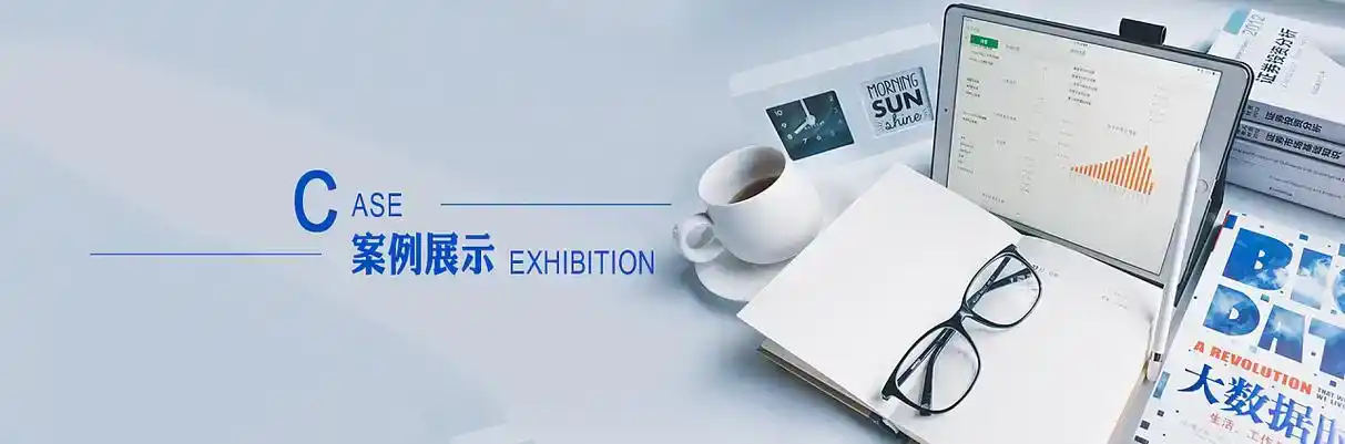 池州软件开发